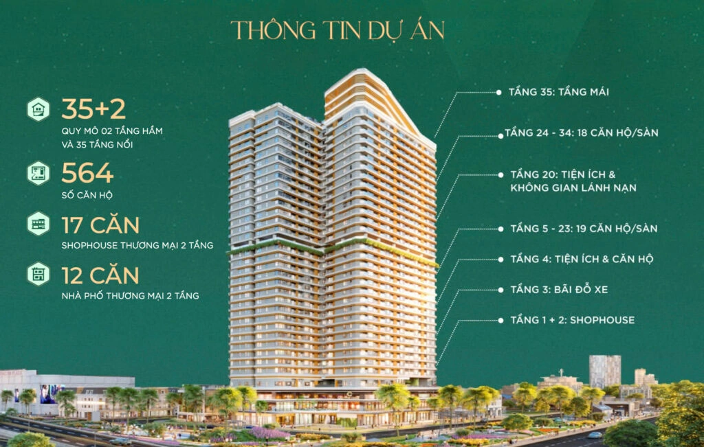 thông tin dự án chi tiết